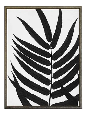 Black Cropped Leaves in Silver & Black Shadowbox