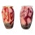 Eickholt Art Glass Vases, Signed and Dated 1993 - Set of 2 For Sale