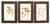 Mid-Century Modern Set of 5 French Mushroom Fungi Offset Lithograph Prints Framed C. 1946 Botanical For Sale - Image 3 of 4