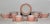 Ceramic 1970s Fitz & Floyd Mid Century Modern Pink Peach Rondelet Luncheon Set 16 Piece Plates Bowls Cups For Sale - Image 7 of 12