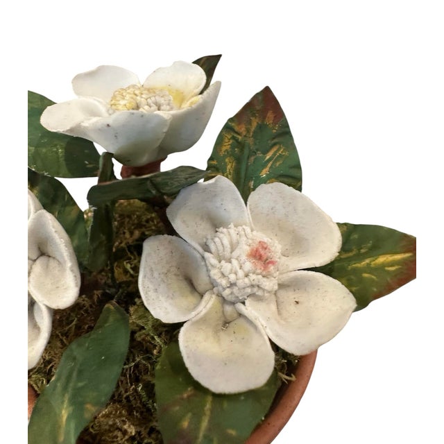 Vintage Petite Potted French Porcelain Bisque & Tole White Gardenia Flower / Floral Arrangement in Terracotta Pot For Sale - Image 4 of 6