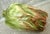 Green Vintage Majolica Style Hand-Painted Ceramic Fruit, Late 20th Century- Set of 4 For Sale - Image 8 of 12