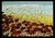 Impressionist Maya Eventov Blanket of Beauty Oil Flower Canvas With Beautiful Custom Frame Me012209-17 For Sale - Image 3 of 13