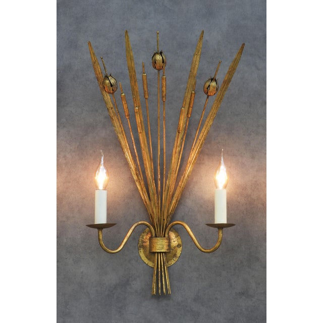 Metal Spanish Gilt Tole Reed and Seed Head Wall Sconce, 1960 For Sale - Image 7 of 10
