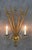 Metal Spanish Gilt Tole Reed and Seed Head Wall Sconce, 1960 For Sale - Image 7 of 10