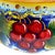 Late 20th Century Gialletti Giulio Deruta Hand-Painted Maiolica Biscotti Jar For Sale - Image 13 of 13