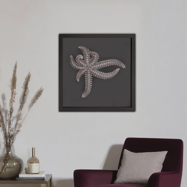 Star Fish Framed Art For Sale In Chicago - Image 6 of 8