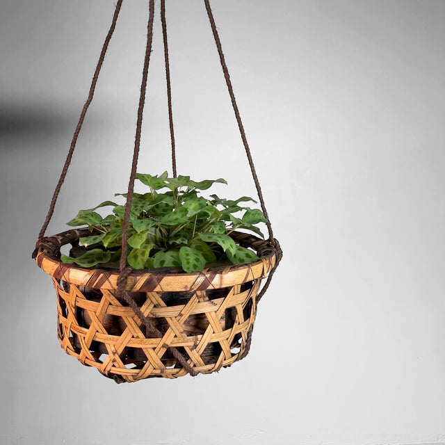 Wood Japanese Bamboo Hanging Basket, 1950s For Sale - Image 7 of 15