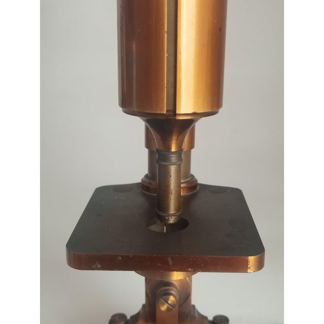 Antique No 975 Microscope in Brass from Beneche & Wasserlein, Berlin, 1850s For Sale - Image 11 of 14