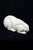 Ivory Reclining Rabbit in Cream Crackle-Glazed Earthenware by Charles Lemanceau for Saint-Clément, France, 1930s For Sale - Image 8 of 13