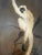 Folding Screen Large Antique Wooden Hand Painted For Sale - Image 11 of 12