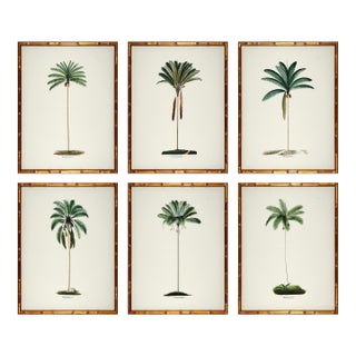 Set of 6 Palm Trees in Bamboo Moulding For Sale
