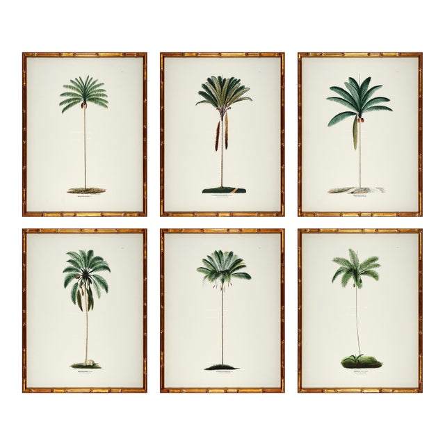 Set of 6 Palm Trees in Bamboo Moulding For Sale