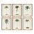Set of 6 Palm Trees in Bamboo Moulding For Sale