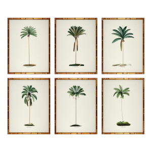 Set of 6 Palm Trees in Bamboo Moulding