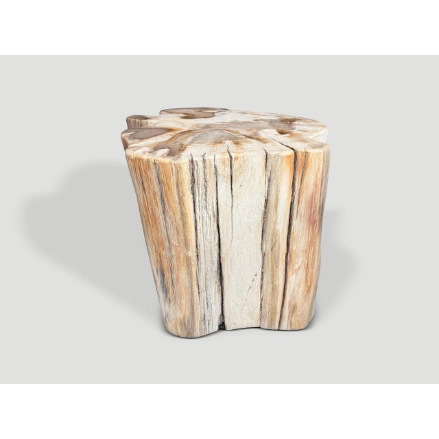 Contemporary Andrianna Shamaris Impressive High Quality Ancient Petrified Wood Side Table For Sale - Image 3 of 5