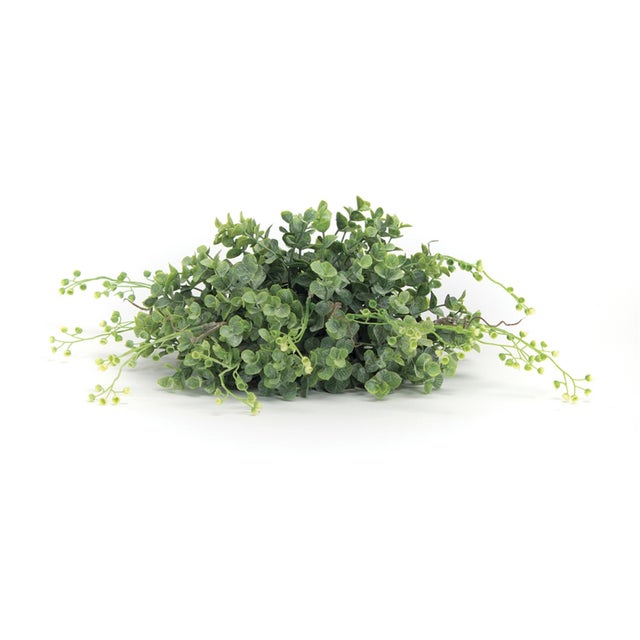 Kenneth Ludwig Chicago Spring Boxwood Foliage Half Orb (Set of 6) For Sale - Image 4 of 4