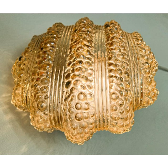 Amber Bubble Glass Flush Mount in the style of Helena Tynell, 1960s For Sale - Image 14 of 15