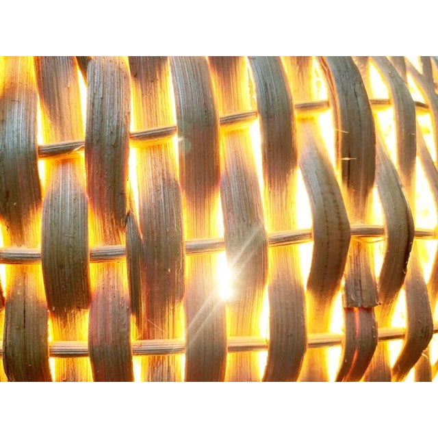 Mid-Century Fish Pendant Lamp, 1960s For Sale - Image 13 of 18