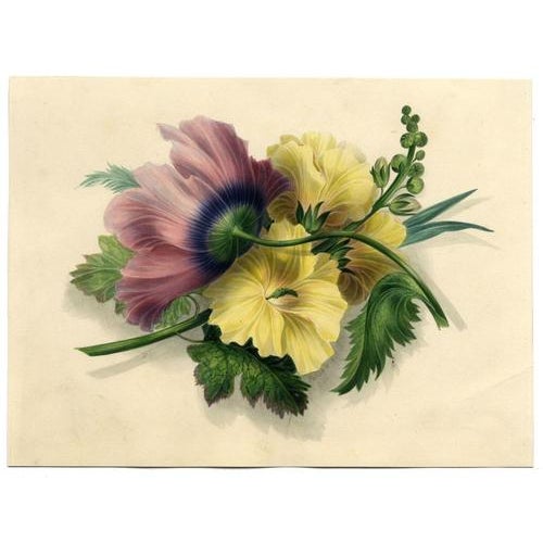 An original 1825 watercolour painting, James Holland OWS, Hibiscus & Poppy Flower.An exceptional flower painting by James...