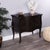 2020s Rochelle 2 Drawer Chest, Dark Brown For Sale - Image 5 of 12