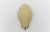 Shell-Shaped Cream Satin Glass Wall Light, Italy, 1960s For Sale - Image 10 of 10