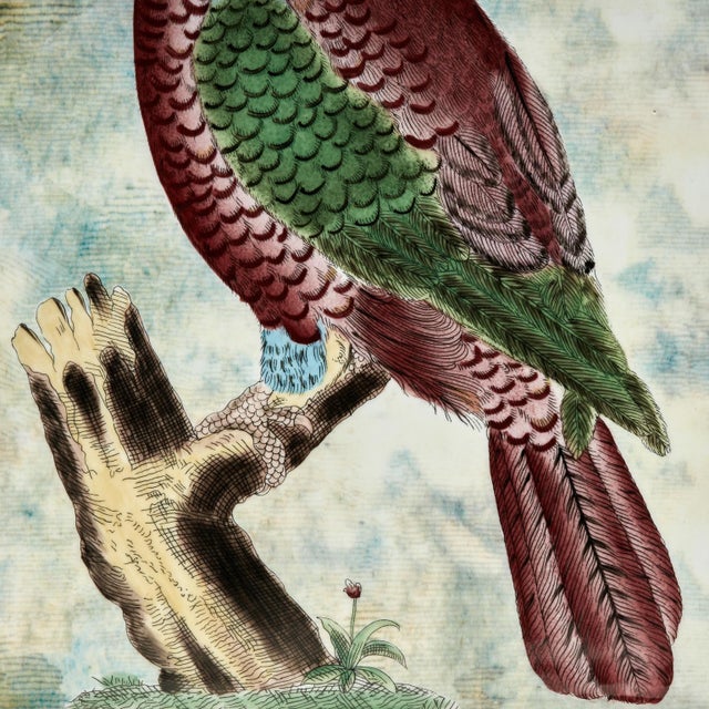 Vintage Porcelain Vase With Birds or Parrots by John Derian For Sale - Image 10 of 12