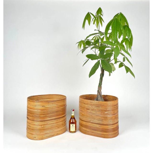 Tan Mid-Century Oval Rattan and Bamboo Basket Plant Holders or Vases, Italy, 1960s, Set of 2 For Sale - Image 8 of 14
