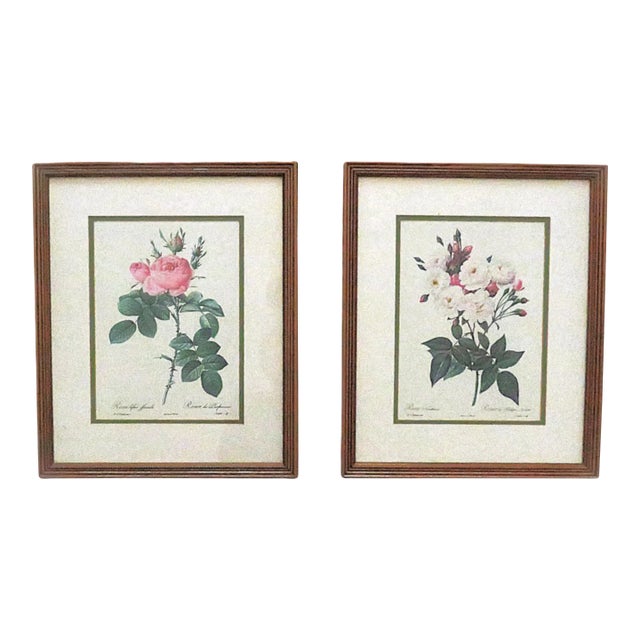 Pair of P. J. Redoute French Botanical Still Life Roses Framed Prints For Sale