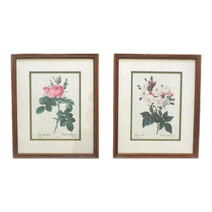 Pair of P. J. Redoute French Botanical Still Life Roses Framed Prints