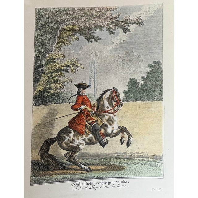 Johann Elias Ridinger, Equestrian Engravings, 1760, Etching, Framed For Sale - Image 4 of 12