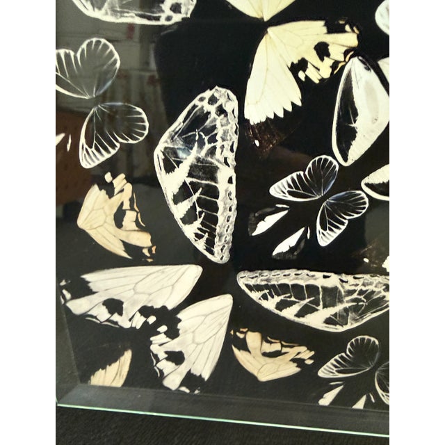Laitan Home Decorations Butterfly Print Art Work, Framed For Sale In San Francisco - Image 6 of 12