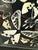 Laitan Home Decorations Butterfly Print Art Work, Framed For Sale In San Francisco - Image 6 of 12