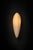 Small LV-426 Sconce in Patinated Cast Bronze by William Guillon For Sale - Image 9 of 18