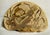 Cream Mid-Century Etched Folk Art Artist's Conk Mushroom For Sale - Image 8 of 17