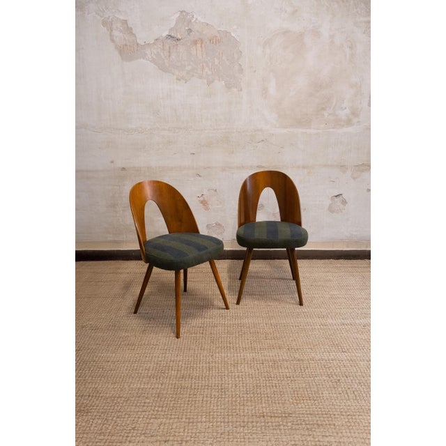 Set of twelve chairs designed by Antonín Šuman and produced in Czechoslovakia in the 1960s. Wooden structure with tapered...
