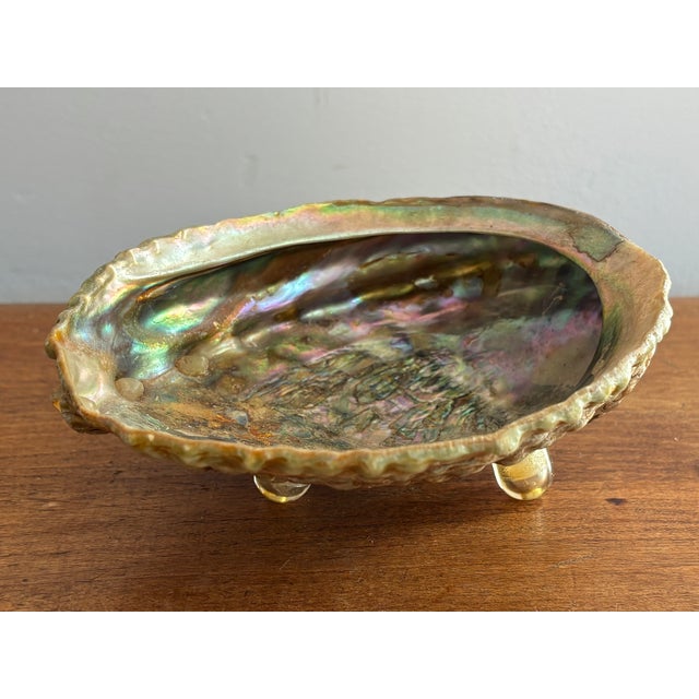Contemporary 1980s Natural Abalone Shell Bowl on Acrylic Feet For Sale - Image 3 of 6