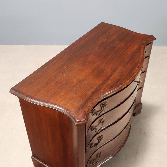 Wood Small Chest of Drawers in Mahogany and Mahogany Feather For Sale - Image 7 of 10