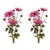 Rustic Dahlia Flower Bundle (Set of 2) For Sale - Image 3 of 3