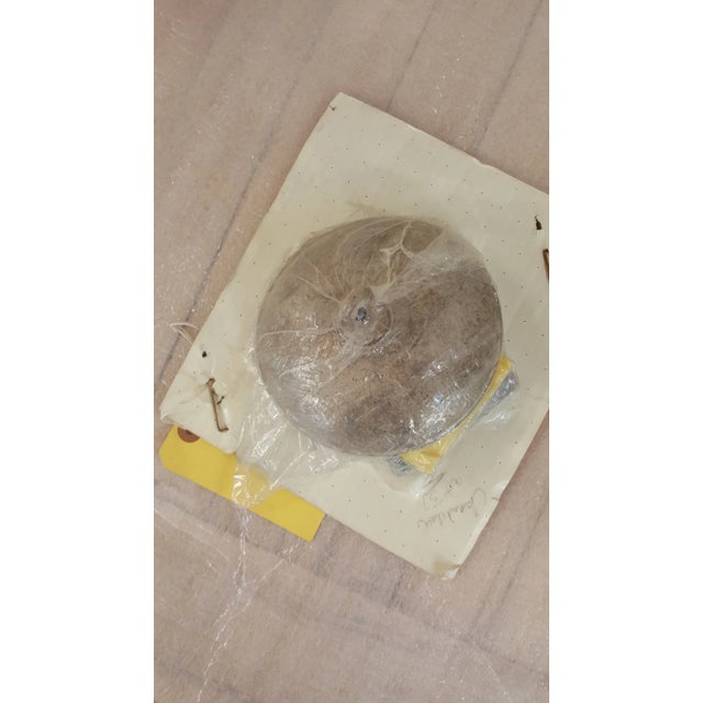 Chandelier With 6 Electric Candle Holders For Sale - Image 9 of 10