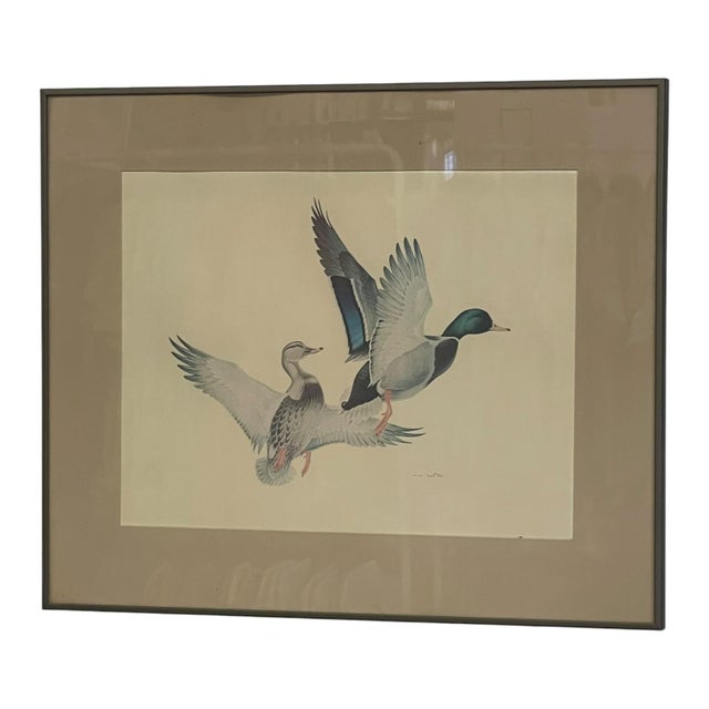 Framed wildlife print depicting two ducks in flight, rendered in a detailed natural style. The composition features two...