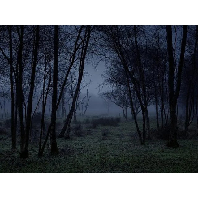 'Stillness 3' is an elegant C-Type Print on Fuji Crystal Archive Paper in Maxima Matte. This size print is available in a...