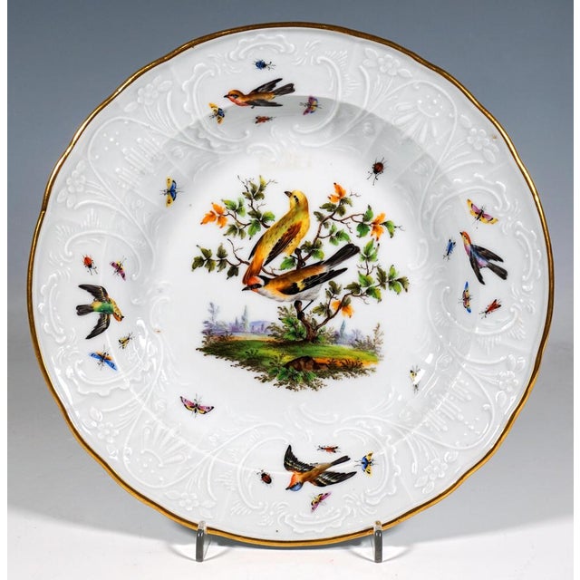 Ceramic Splendour Plates from Meissen, 1850, Set of 6 For Sale - Image 7 of 11