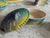 This vibrant 1960s ceramic fish tableware set, likely from the renowned Italian pottery town of Albisola in Liguria, is a...