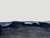 Impressive live edge, single three inch thick slab, ancient petrified wood with natural contrasting markings. Perfect as a...