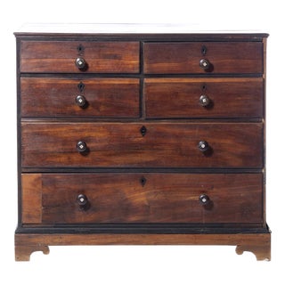 19th Century Queen Maria Chest of Drawers in Vinhatico Wood For Sale