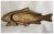 Early 20th Century Antique Art Deco Asian Coy Fish Tray, Bronze Pen Holder, Desk or Vanity Tray For Sale - Image 5 of 8