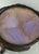 Antique French Art Nouveau Butterfly Wing Trinket Dish by Peguy, 1890s For Sale - Image 3 of 5