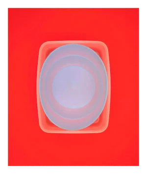 Richard Caldicott "Untitled 153", Photograph