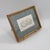 Paint Signed "Dianne Grusso '91." Original Sand Dollar Watercolor Still Life For Sale - Image 7 of 11